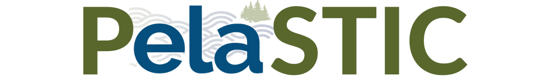 pELAstic Project logo